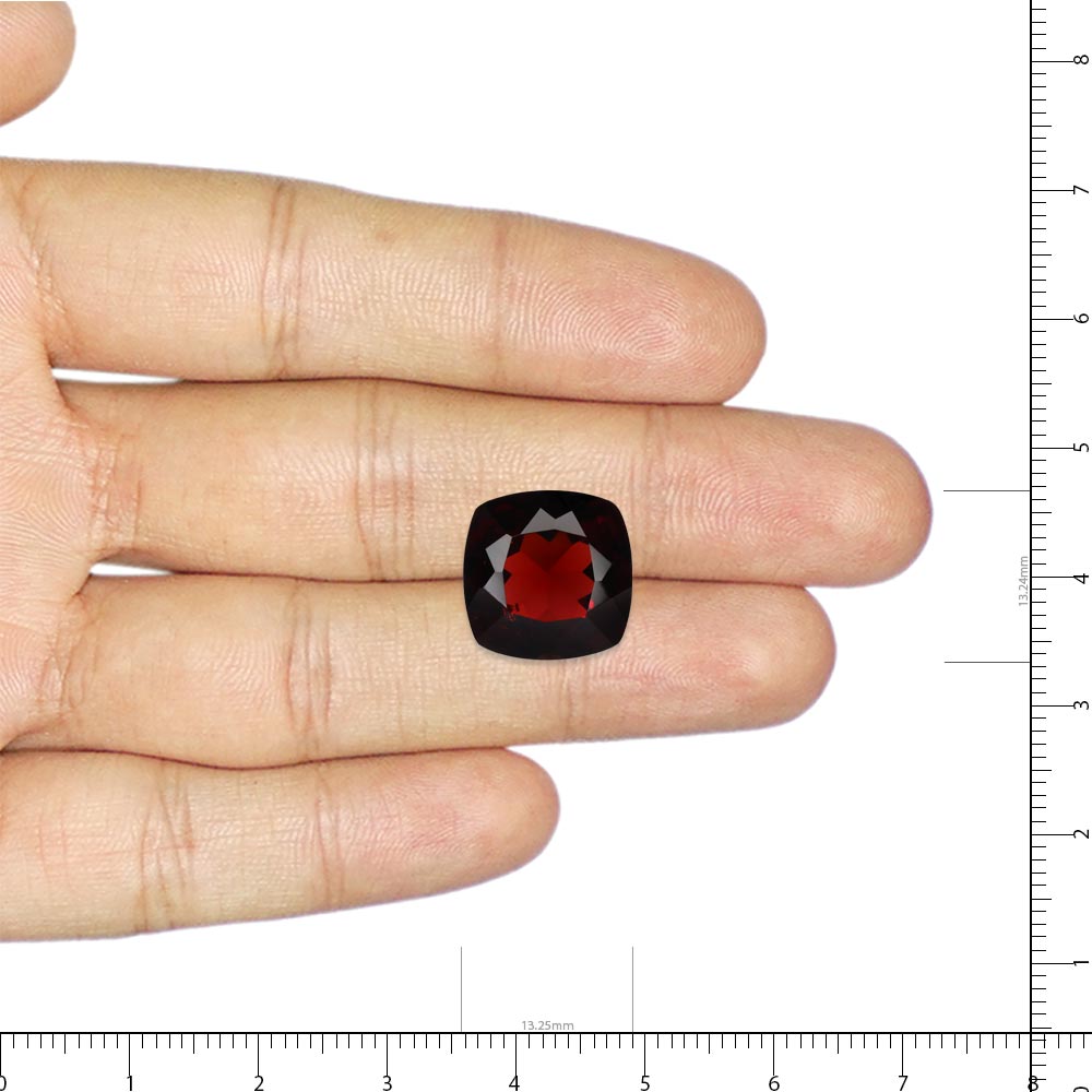 Garnet - 9.65 Carat
