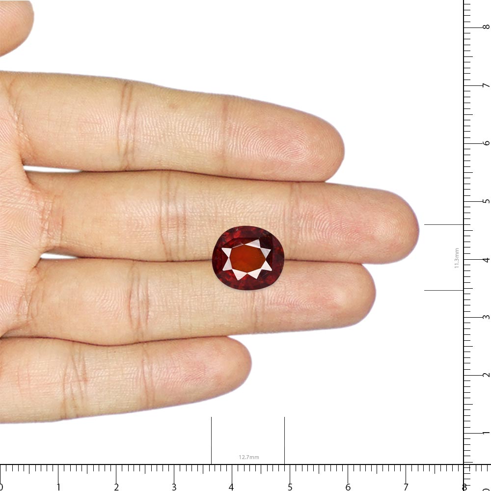 Hessonite (Gomed) - 9.14 Carat