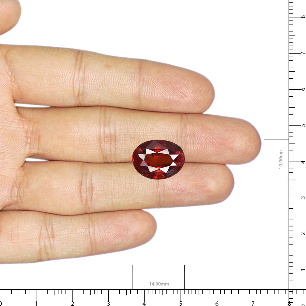 Hessonite (Gomed) - 9.88 Carat