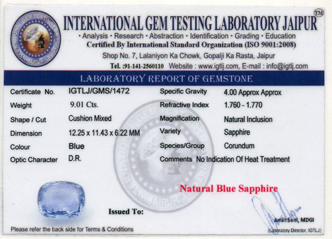 Pastel Blue Sapphire - 9.01 Carat