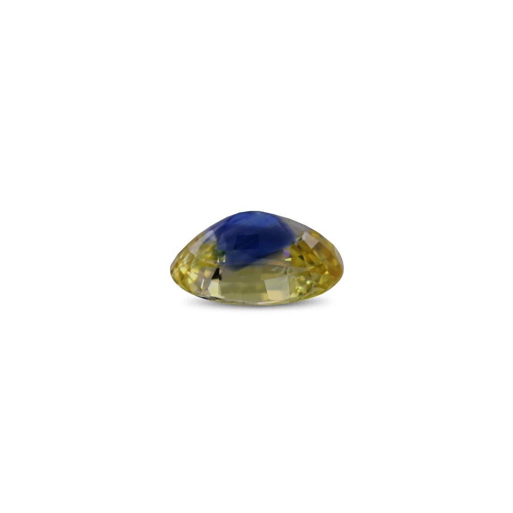 Bi-Colour Sapphire(Pitambari) - 8.10 Carat