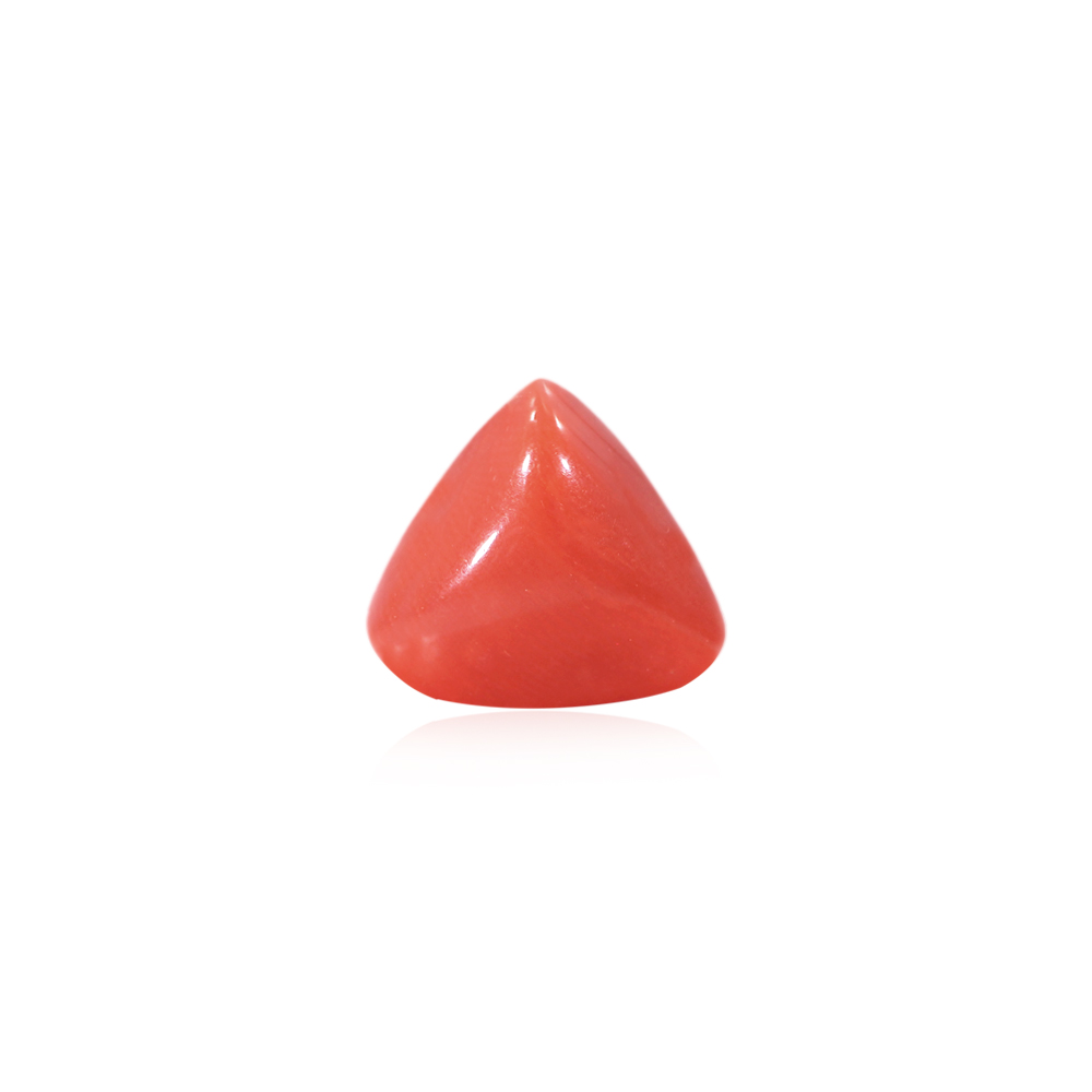 Red Coral - 8.50 Carat