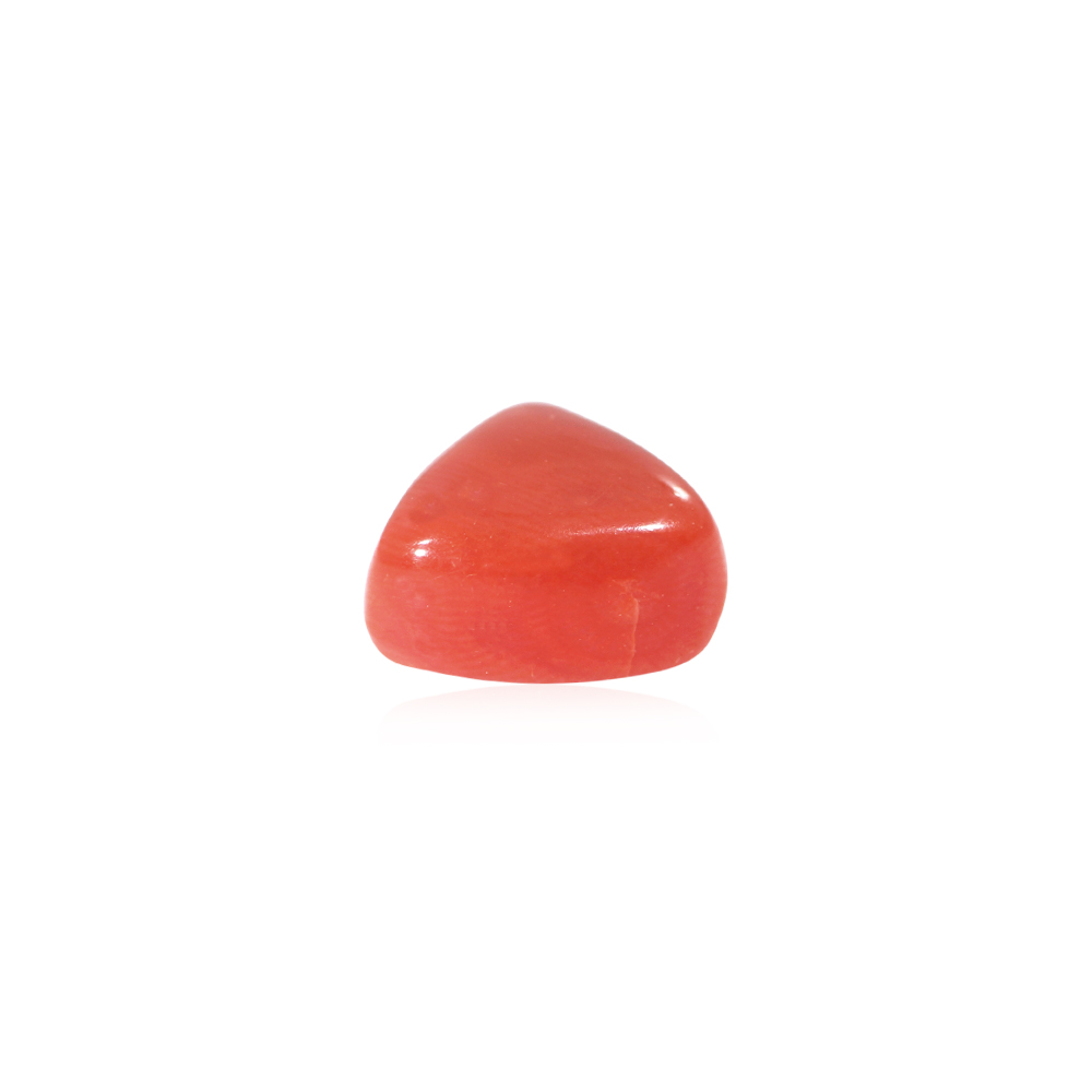 Red Coral - 8.50 Carat