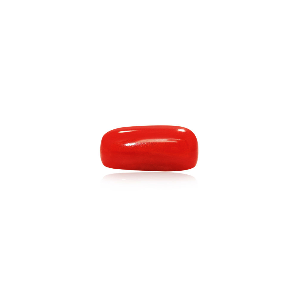 Red Coral - 7.03 Carat