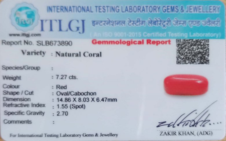 Red Coral - 7.27 Carat