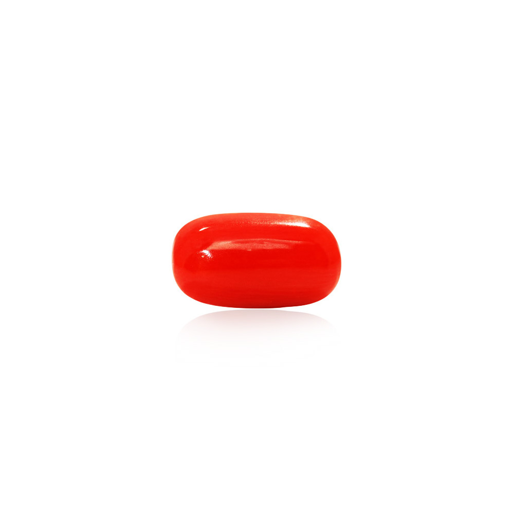 Red Coral - 7.27 Carat