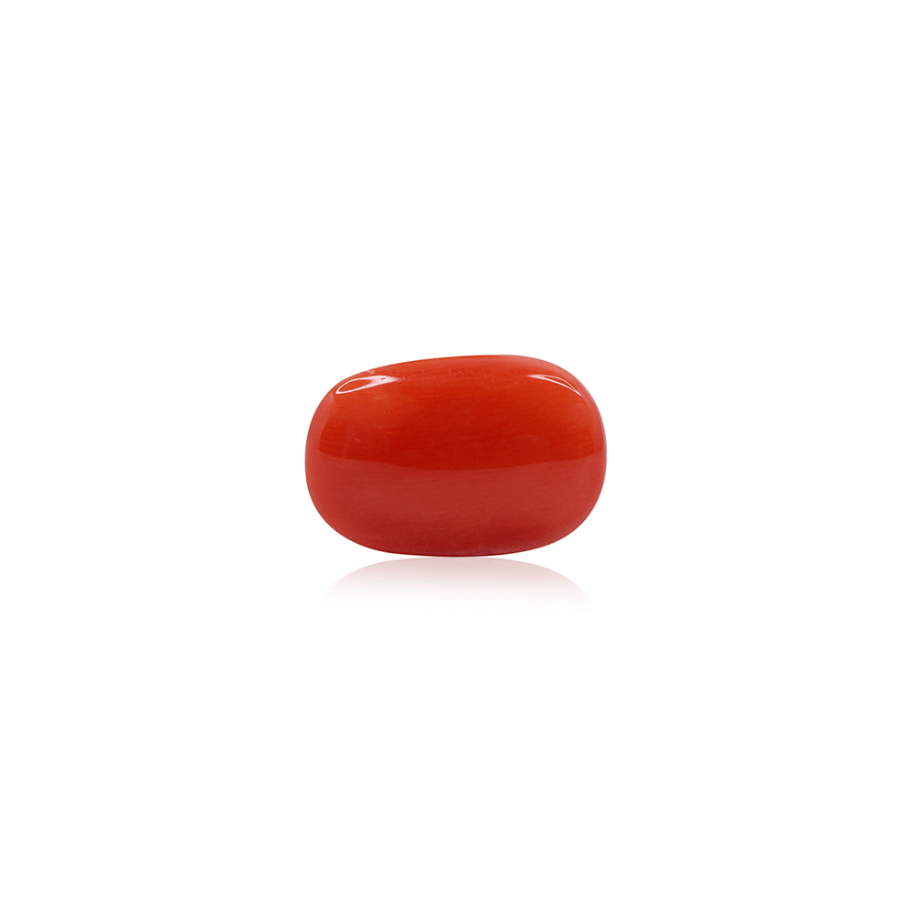 Red Coral - 8.08 Carat