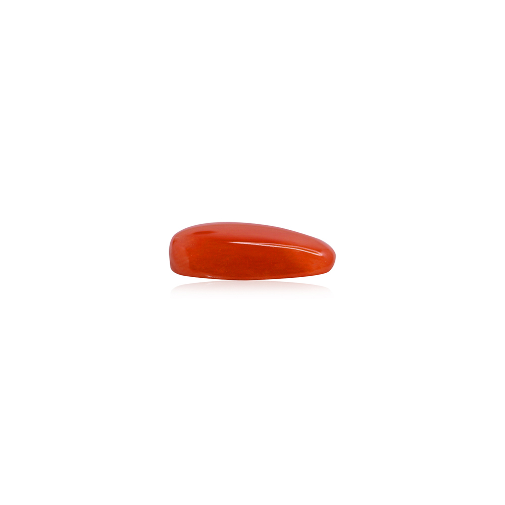 Red Coral - 8.08 Carat