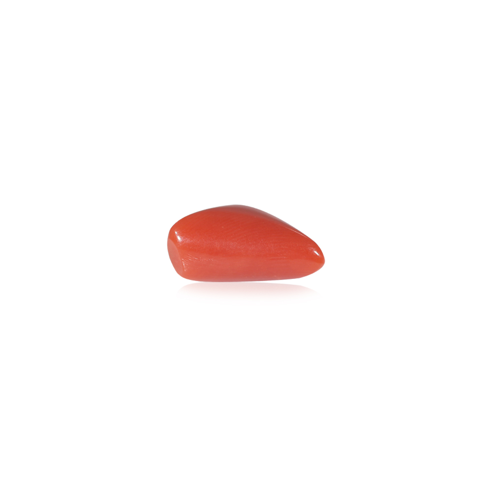 Red Coral - 4.74 Carat