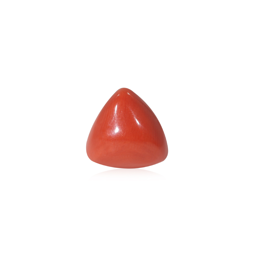 Red Coral - 8.15 Carat