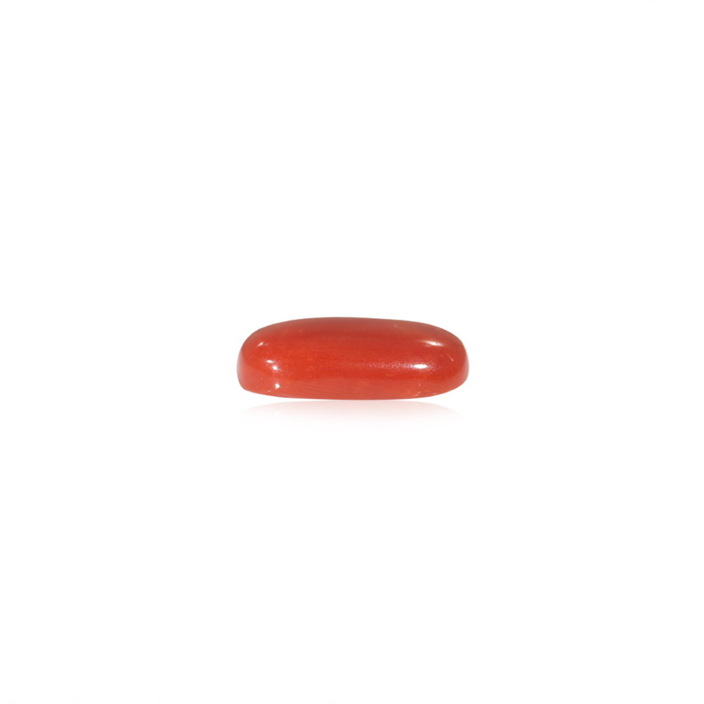 Red Coral - 6.6 Carat