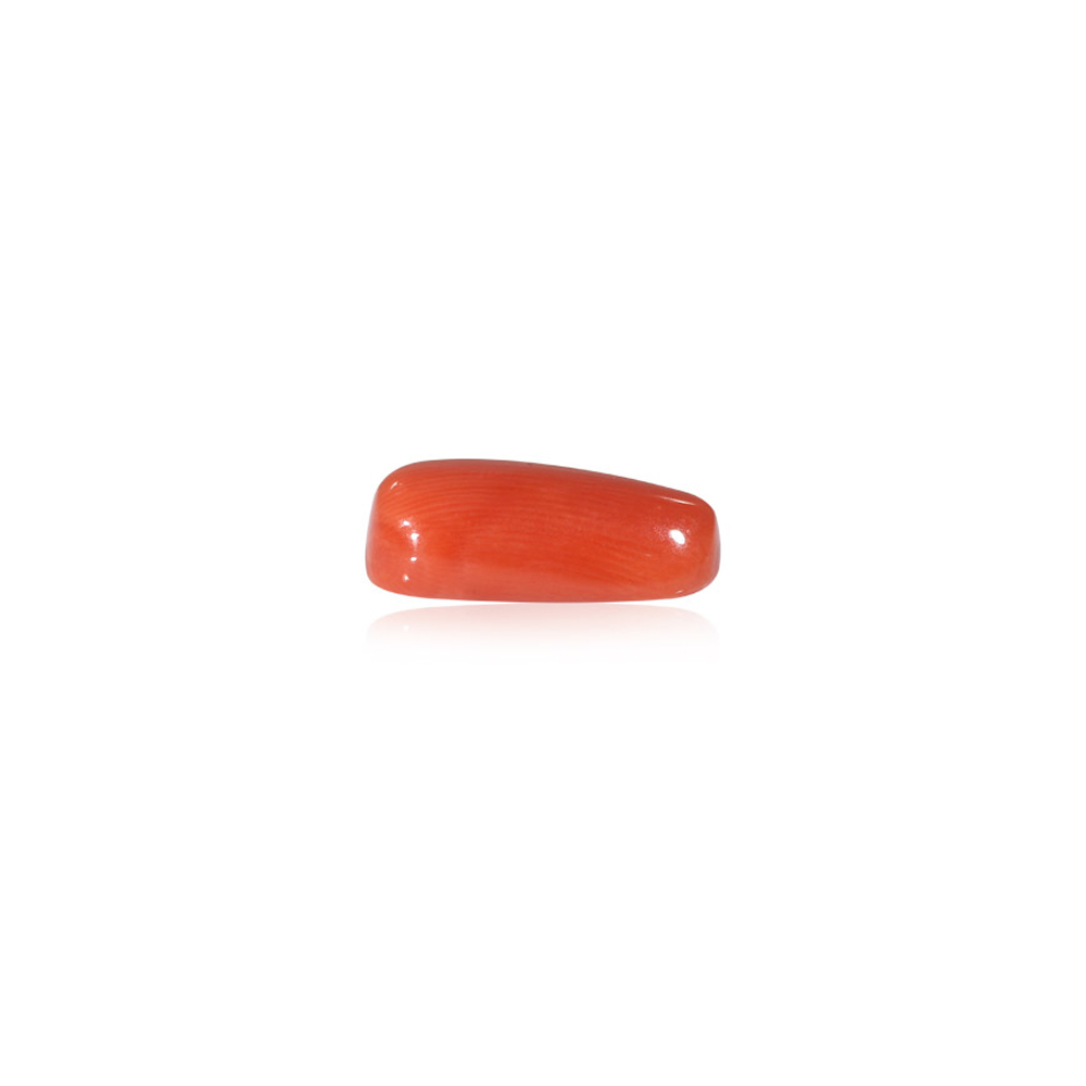Red Coral - 6.68 Carat