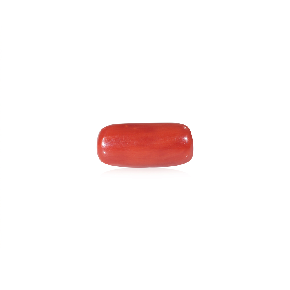 Red Coral - 7.06 Carat