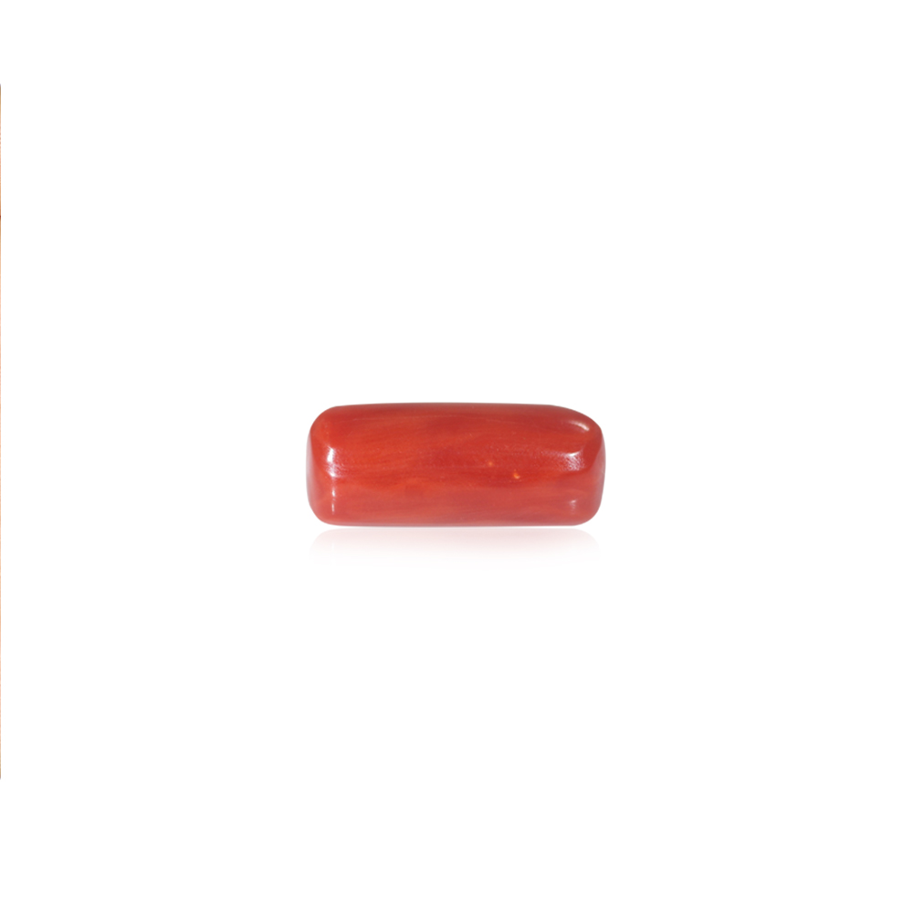 Red Coral - 7.06 Carat