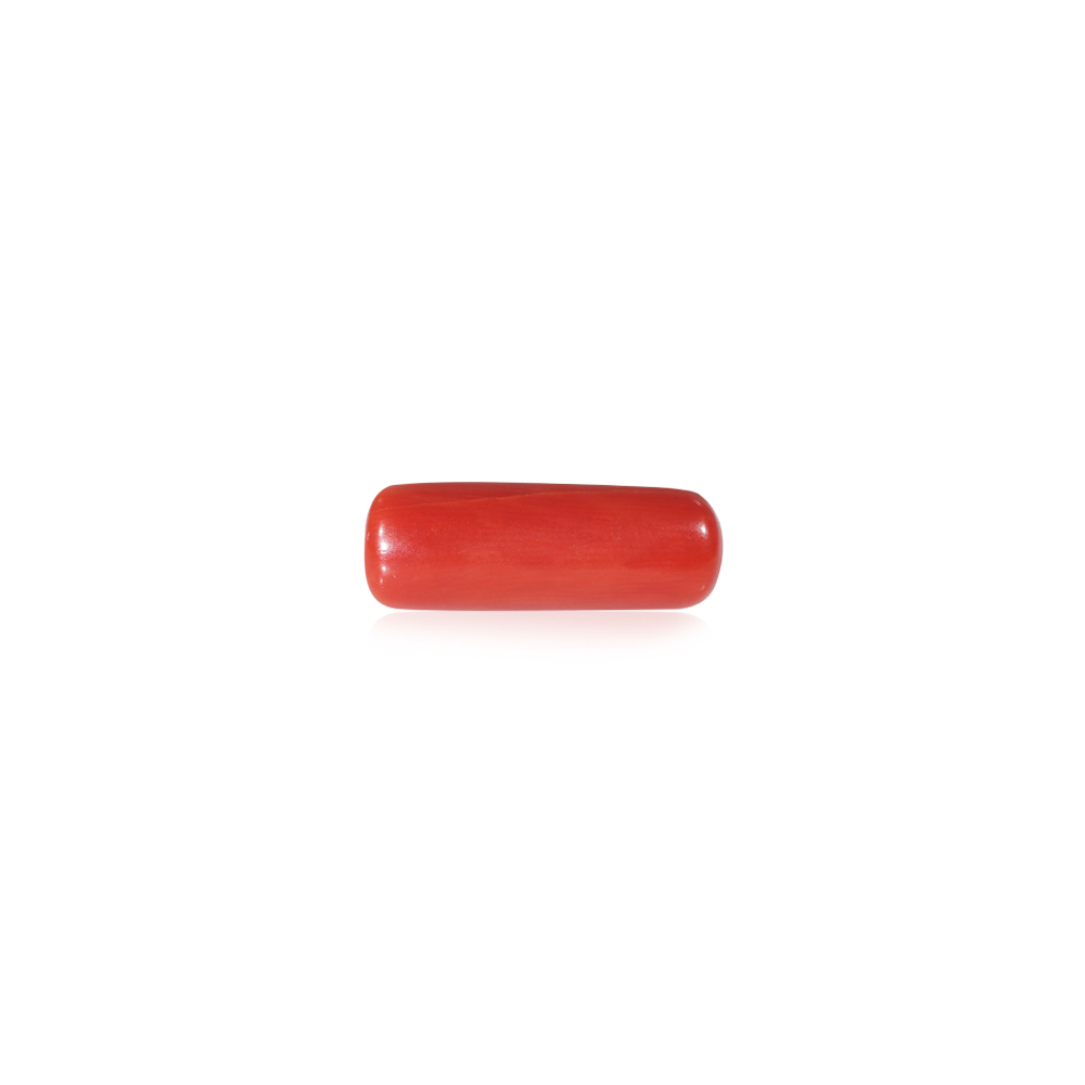 Red Coral - 7.42 Carat