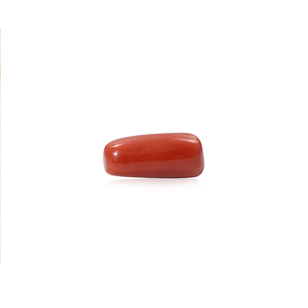Red Coral - 7.43 Carat