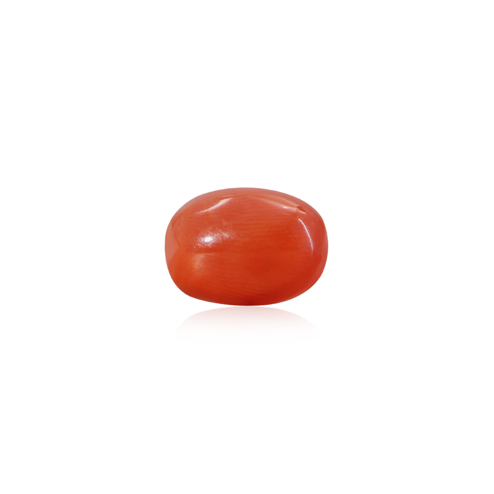 Red Coral - 7.58 Carat