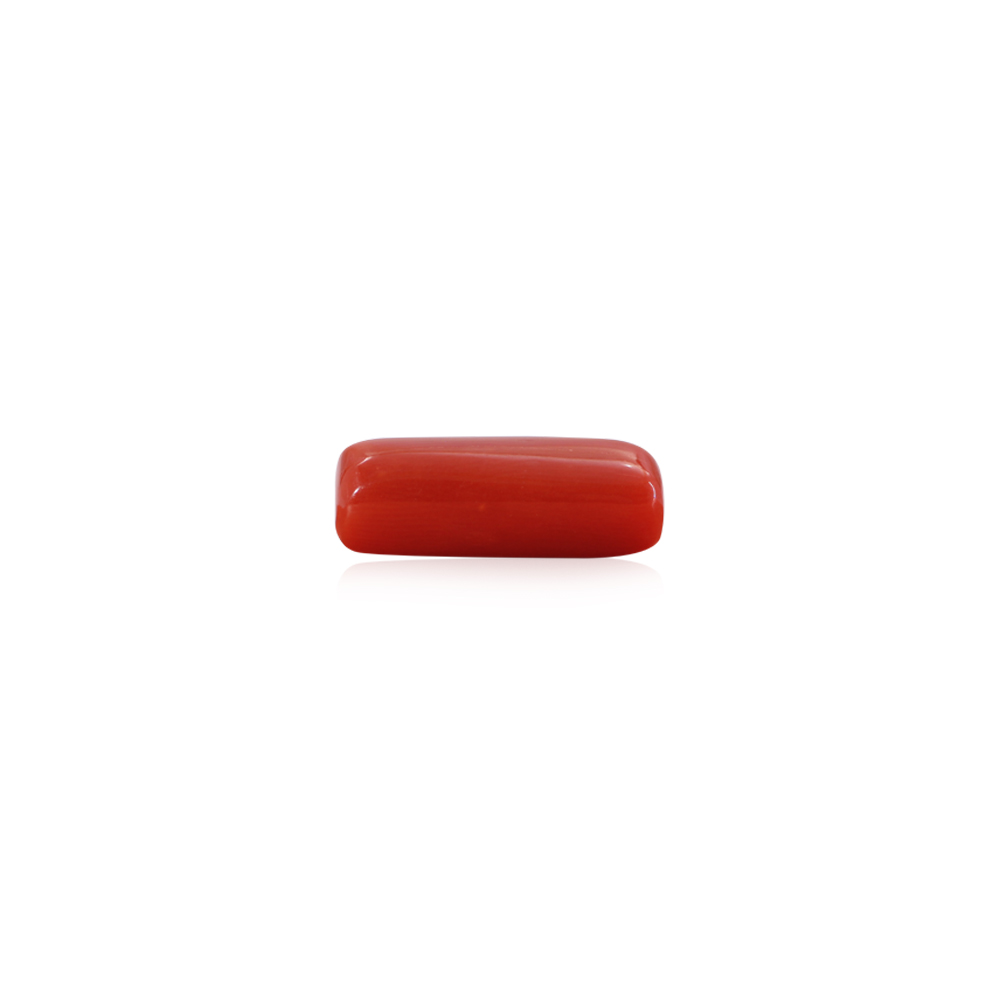 Red Coral - 7.71 Carat