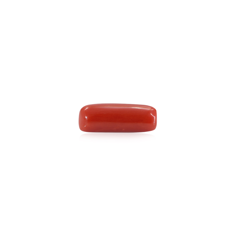 Red Coral - 7.71 Carat