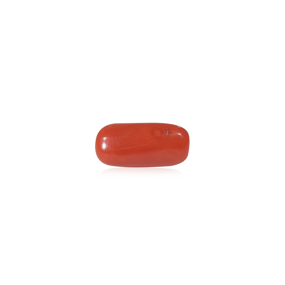 Red Coral - 7.83 Carat