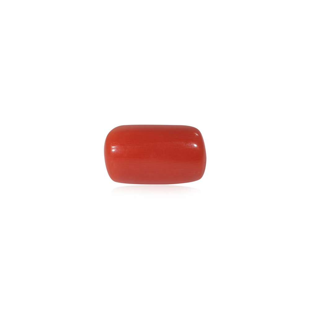 Red Coral - 7.9 Carat