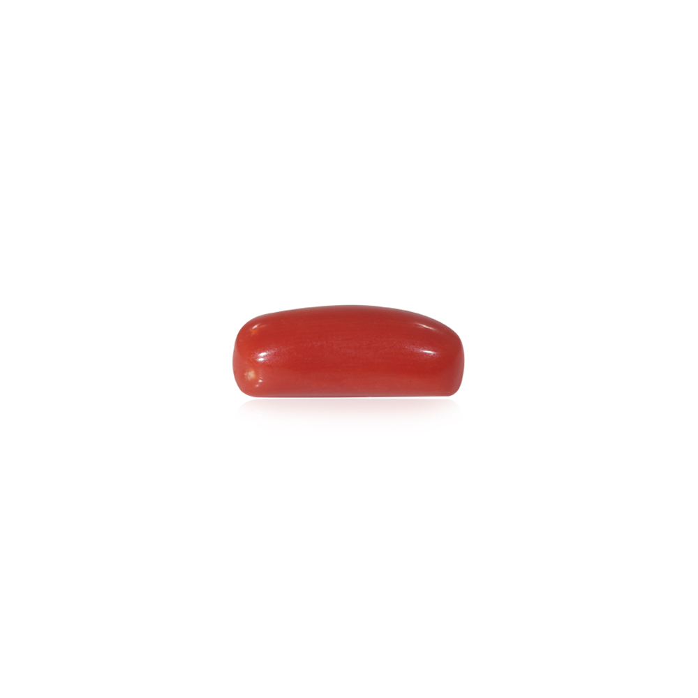 Red Coral - 8.05 Carat