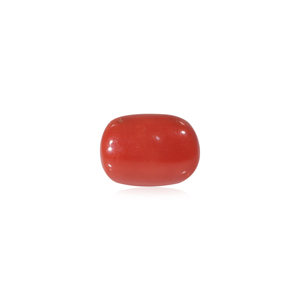 Red Coral - 8.15 Carat