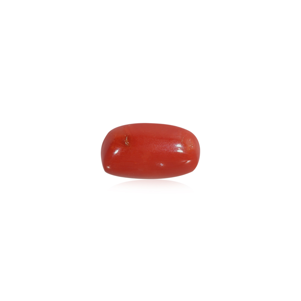 Red Coral - 8.15 Carat