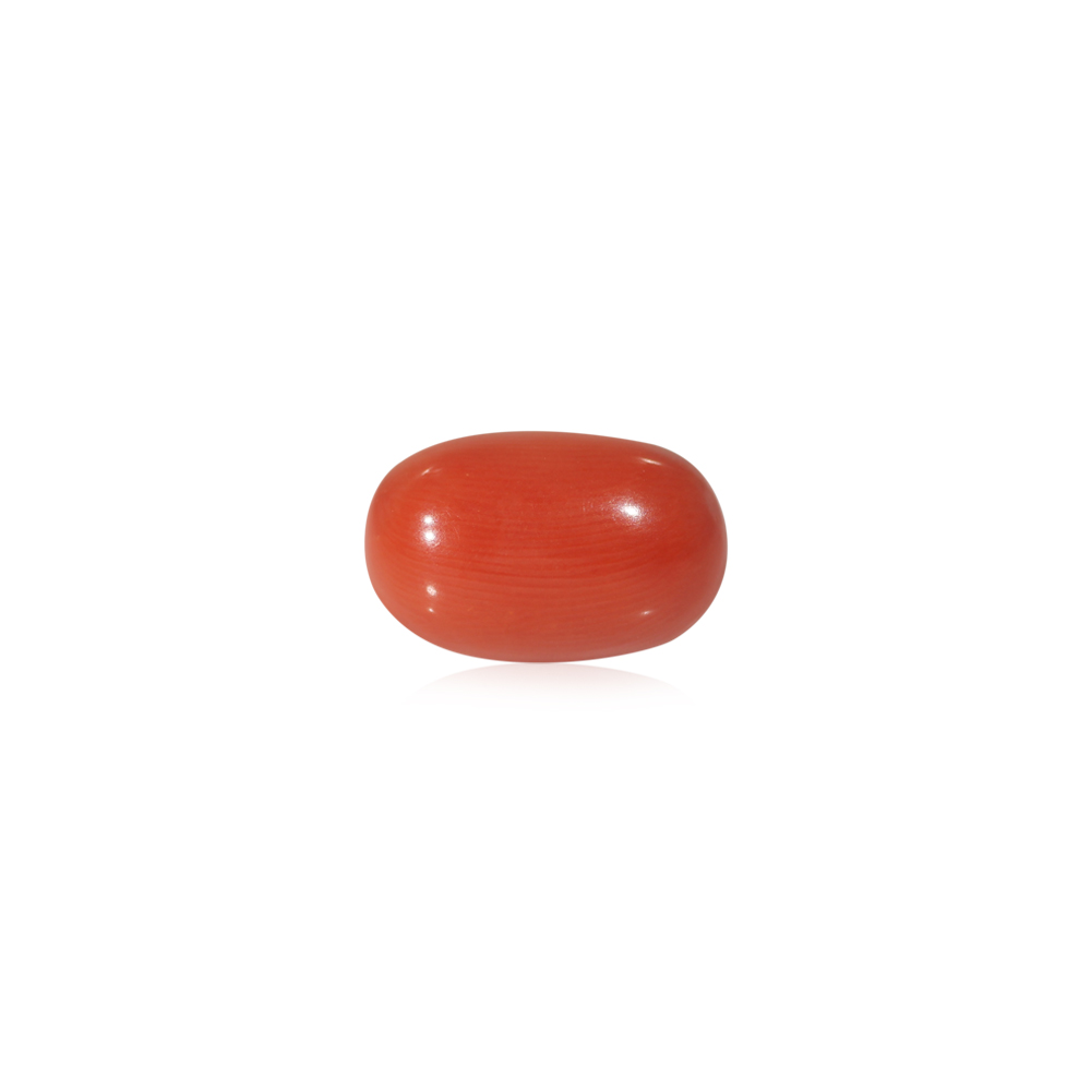 Red Coral - 8.30 Carat