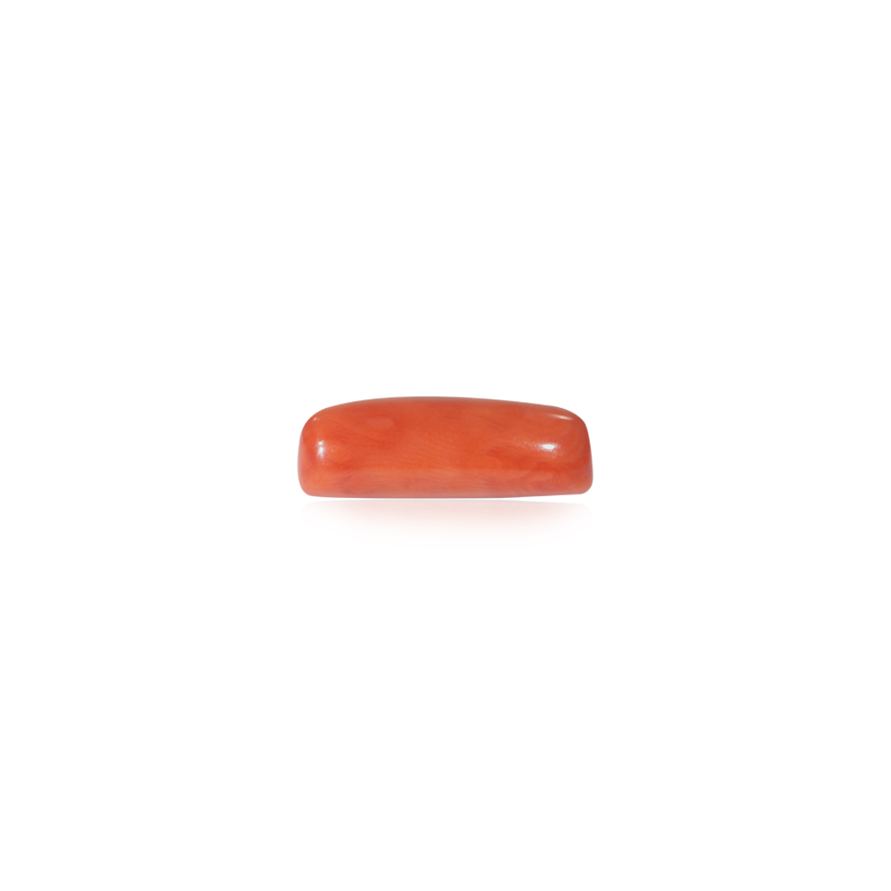 Red Coral - 8.33 Carat
