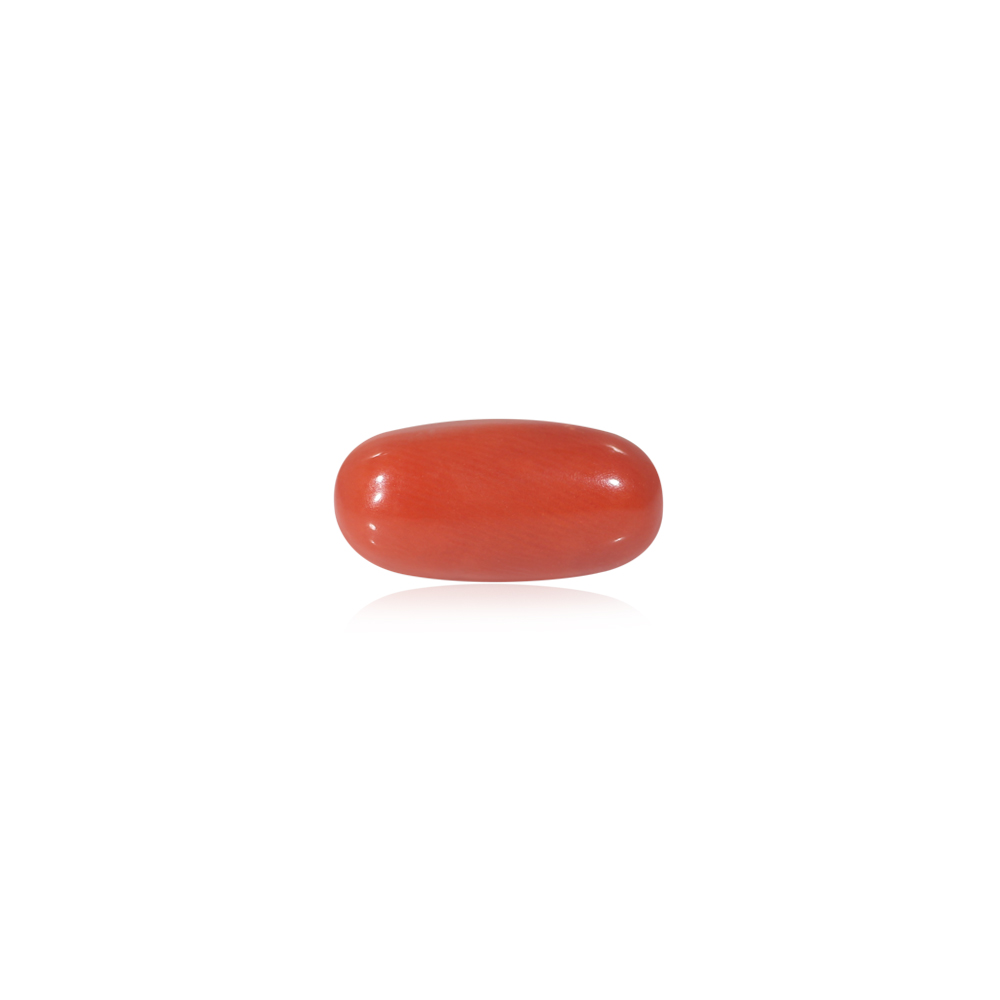 Red Coral - 8.35 Carat