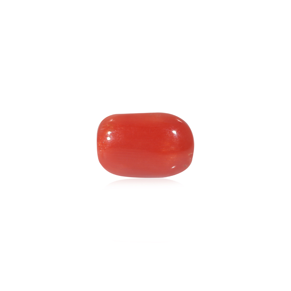 Red Coral - 8.37 Carat