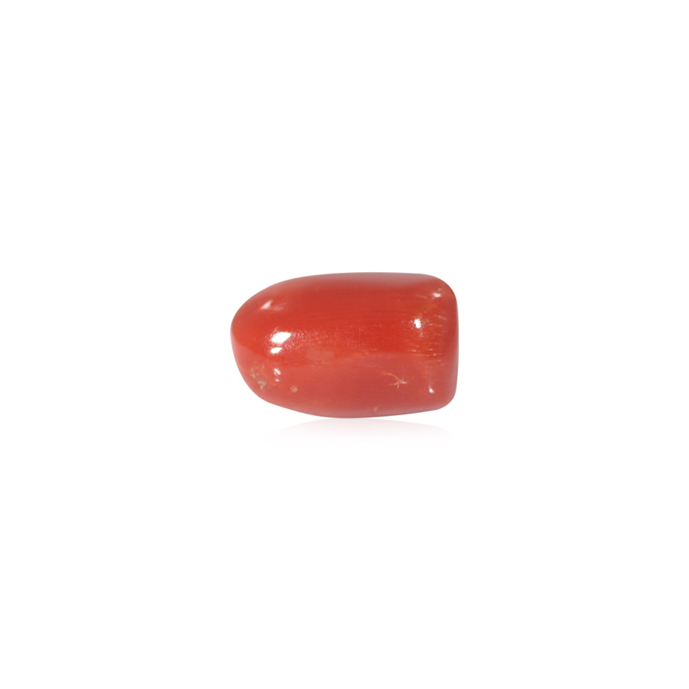 Red Coral - 8.37 Carat