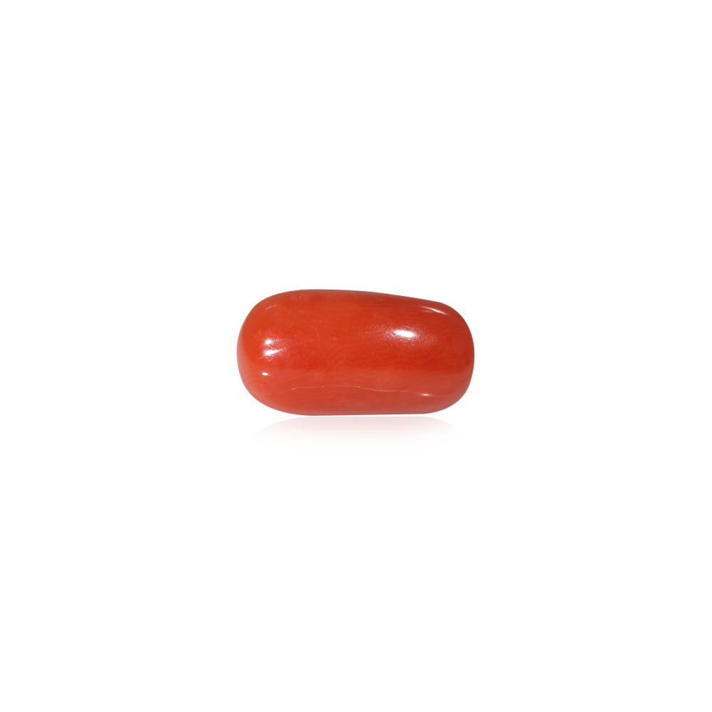 Red Coral - 8.58 Carat