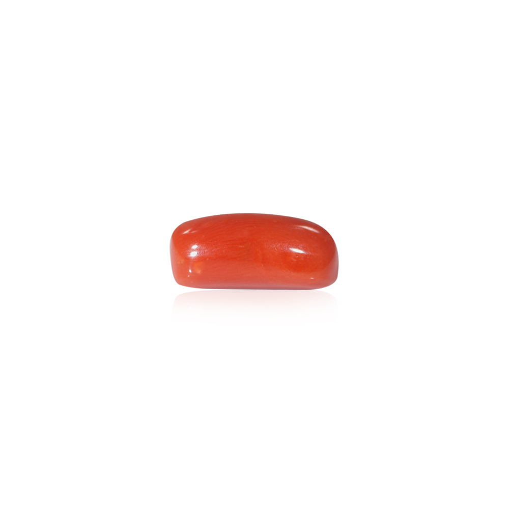 Red Coral - 8.58 Carat