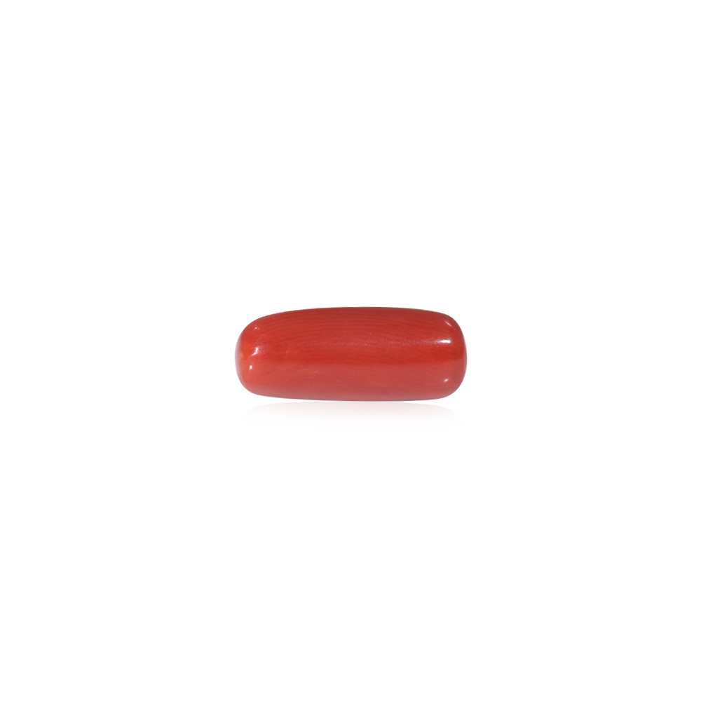 Red Coral - 8.83 Carat