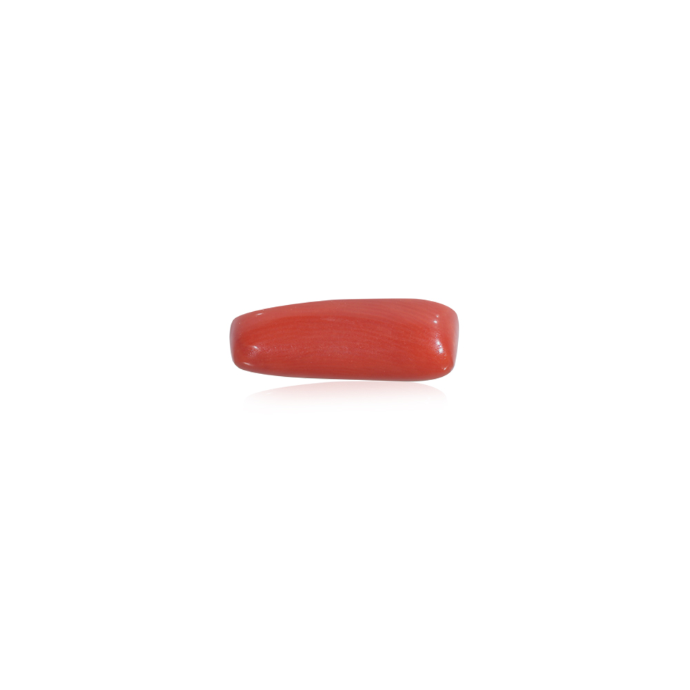 Red Coral - 8.83 Carat