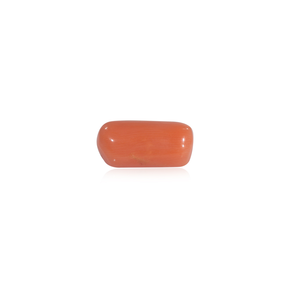 Red Coral - 9.24 Carat