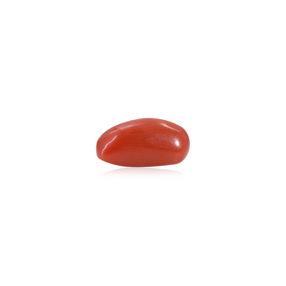 Red Coral - 9.80 Carat