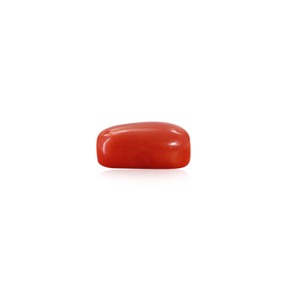Red Coral - 10.02 Carat