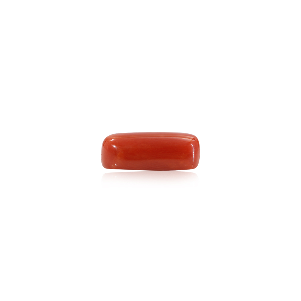 Red Coral - 10.2 Carat