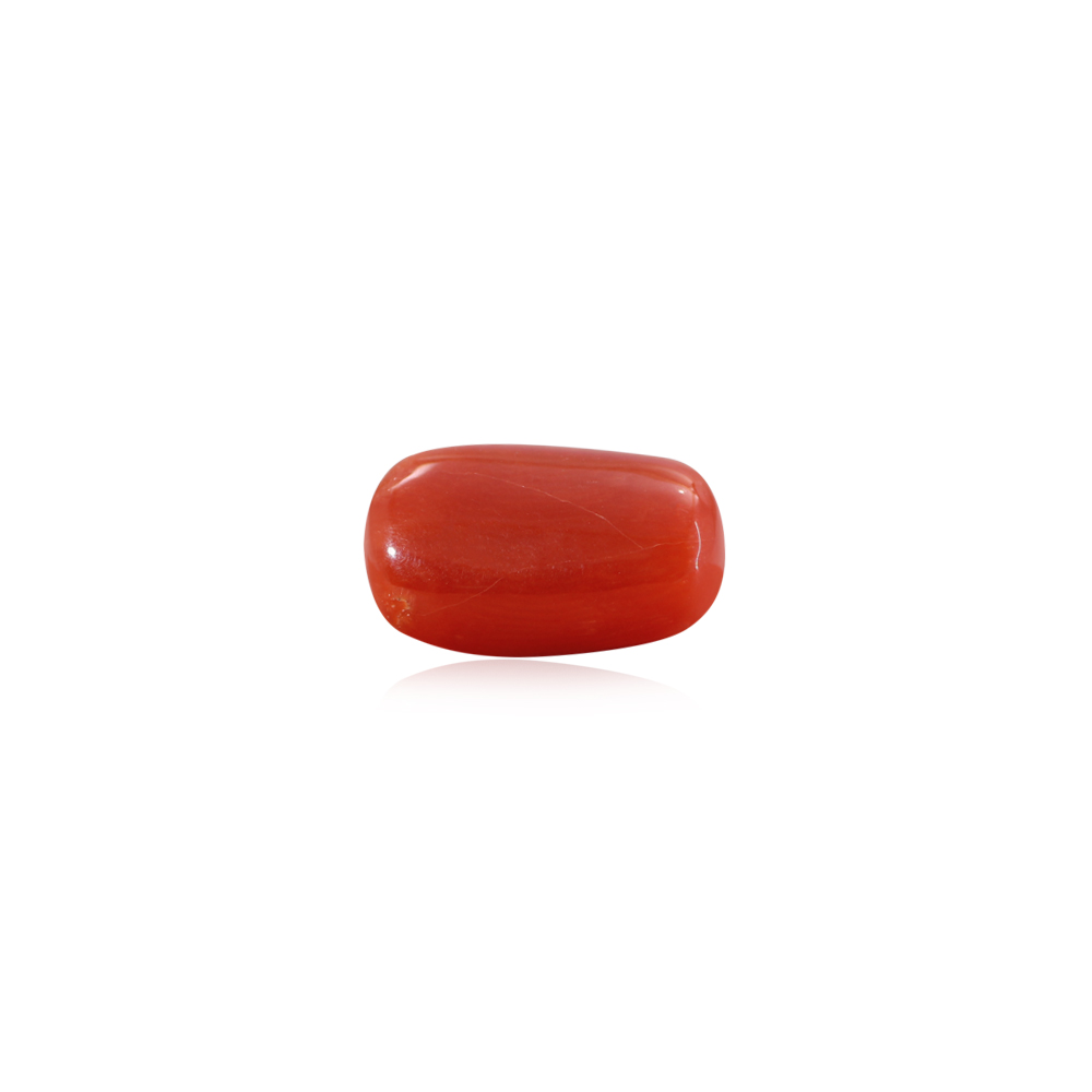 Red Coral - 10.26 Carat