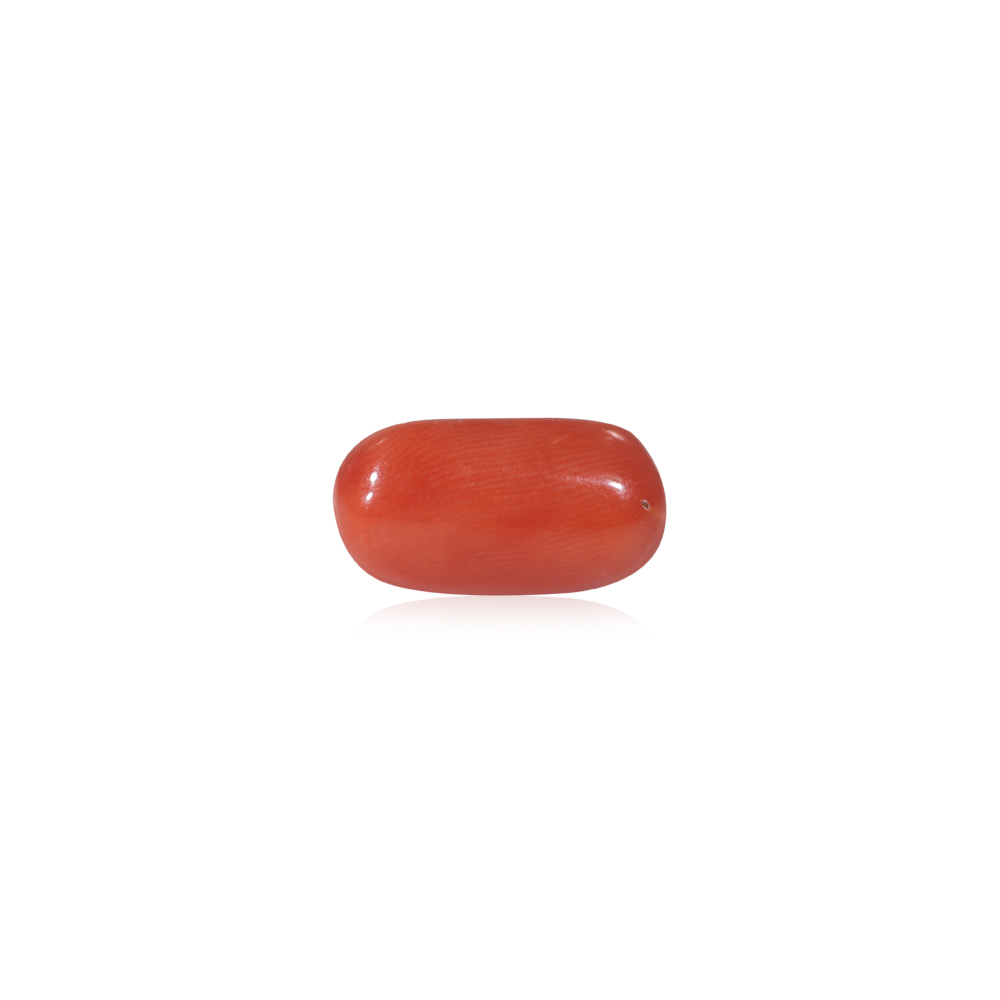 Red Coral - 10.31 Carat