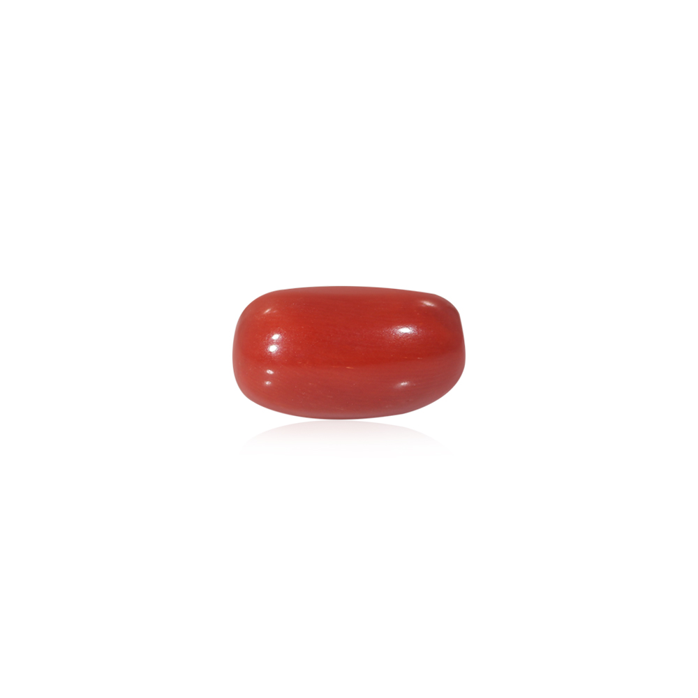 Red Coral - 10.42 Carat