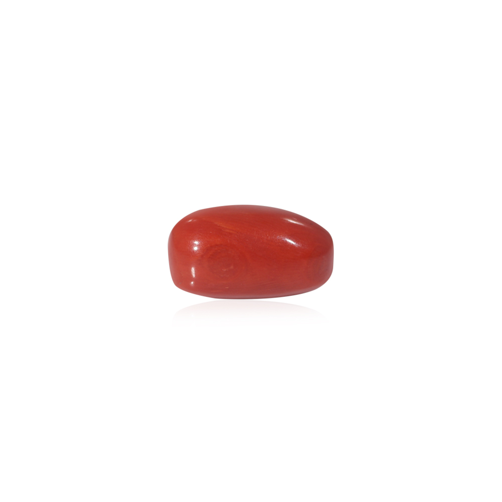 Red Coral - 10.42 Carat