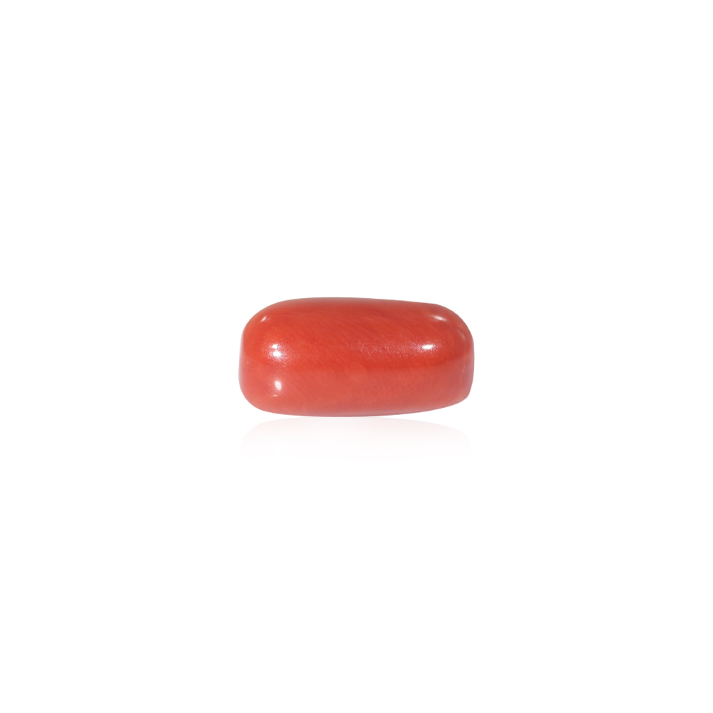 Red Coral - 10.90 Carat