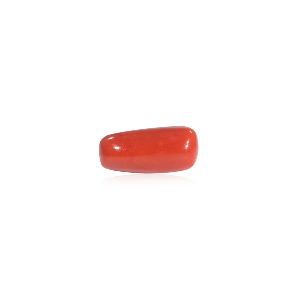 Red Coral - 13.45 Carat