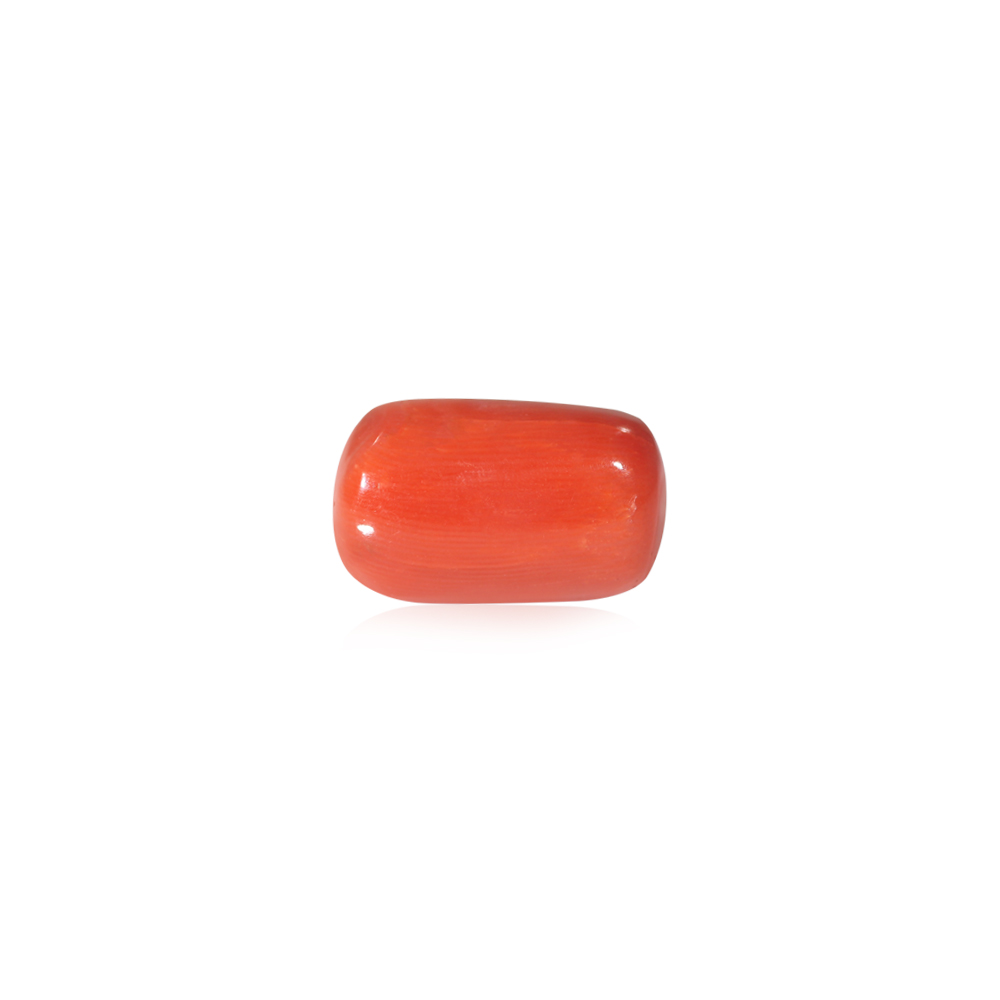 Red Coral - 21.52 Carat