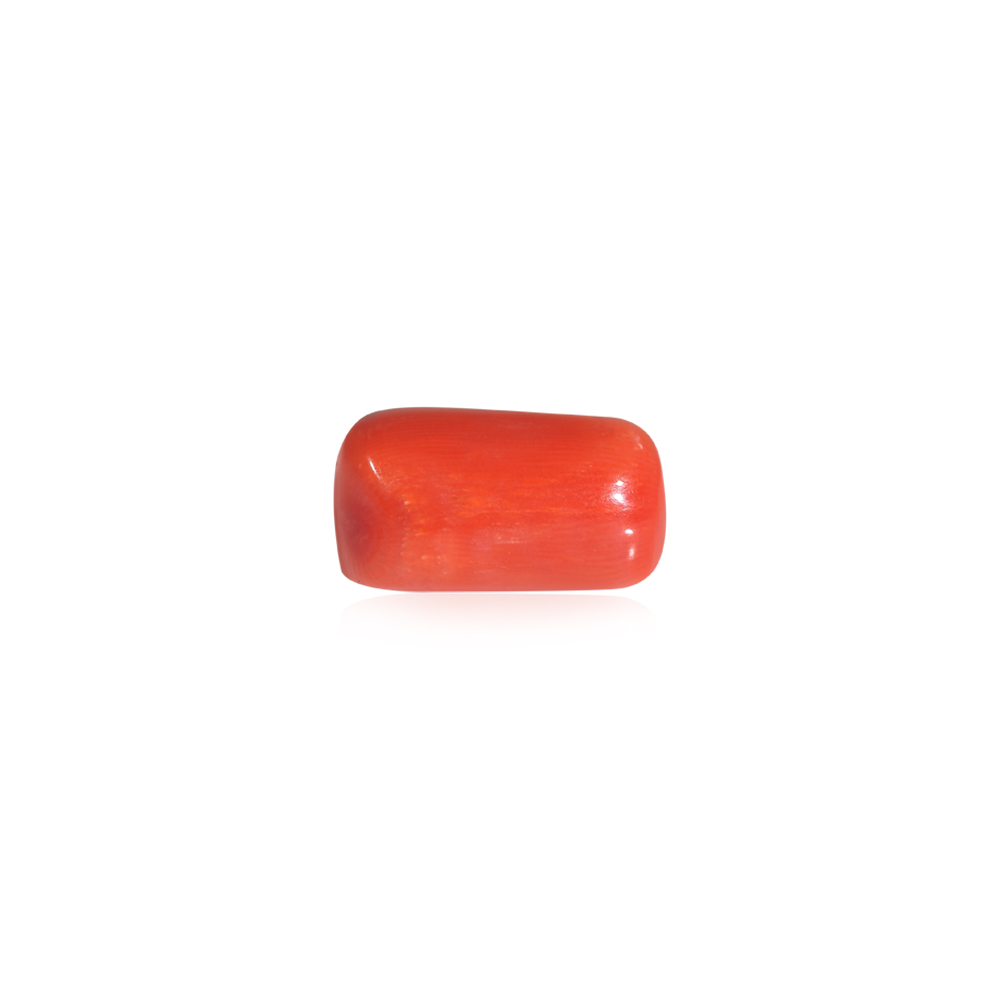 Red Coral - 21.52 Carat