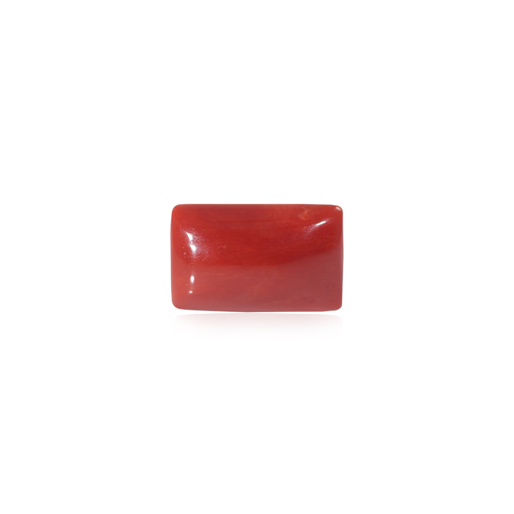 Red Coral - 16.26 Carat